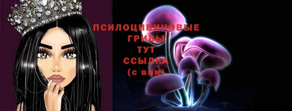 ешки Горно-Алтайск