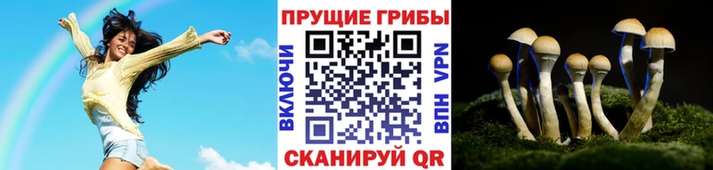 Псилоцибиновые грибы мицелий  Купить  Каменногорск 