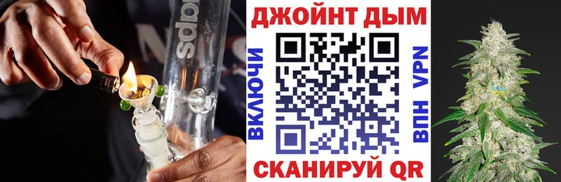 Купить где  Каменногорск  МАРИХУАНА ГИДРОПОН 